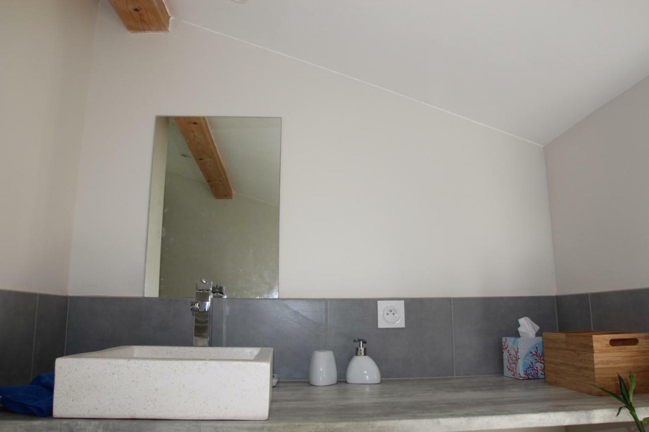 Grand Duplex Au Calme En Centre-Ville 索恩河畔自由城 外观 照片
