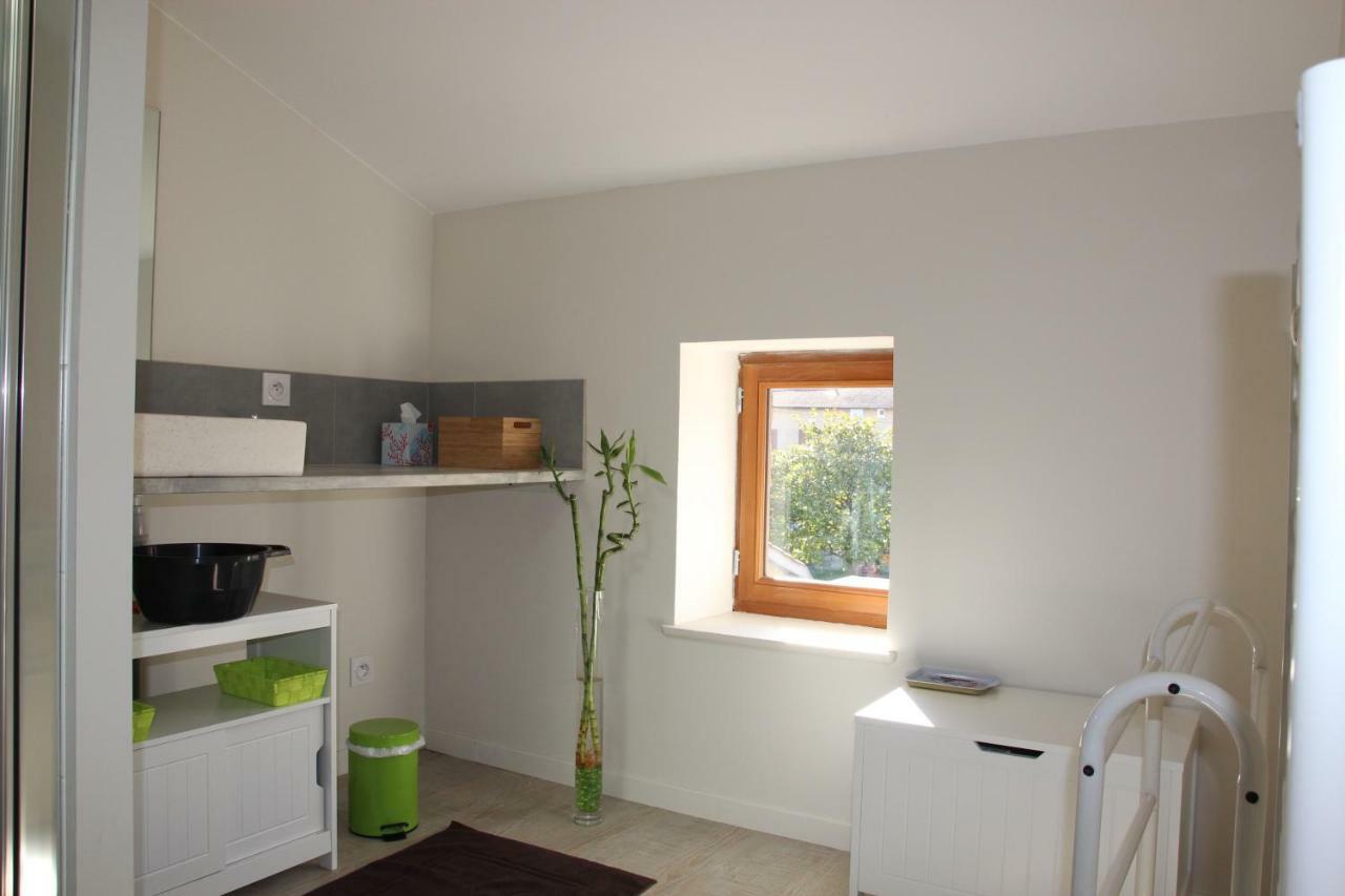 Grand Duplex Au Calme En Centre-Ville 索恩河畔自由城 外观 照片