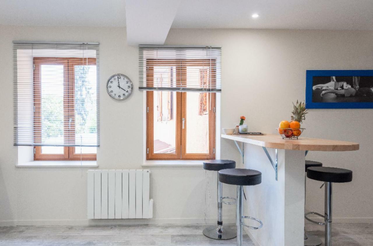 Grand Duplex Au Calme En Centre-Ville 索恩河畔自由城 外观 照片