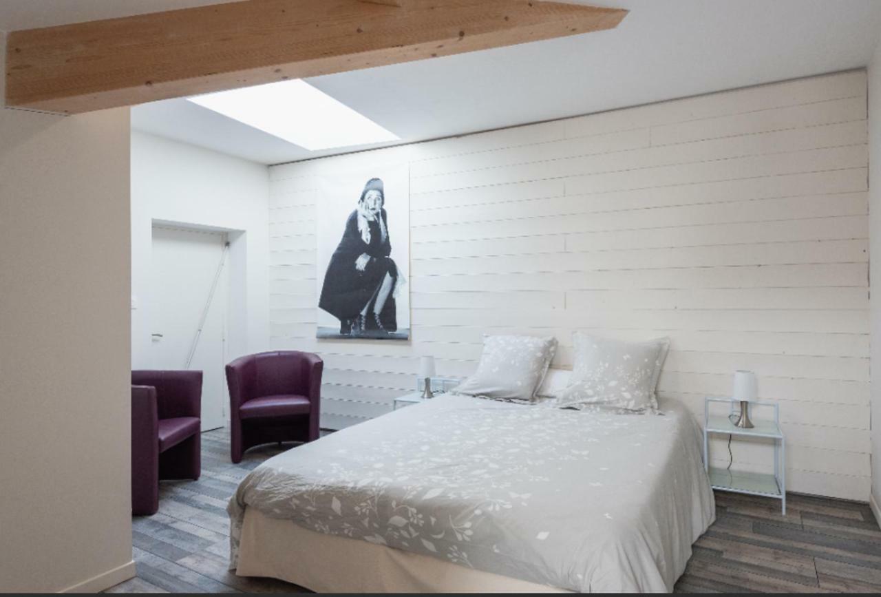 Grand Duplex Au Calme En Centre-Ville 索恩河畔自由城 外观 照片